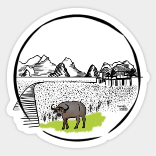 Laos - Waterbuffalo in a rice field Sticker